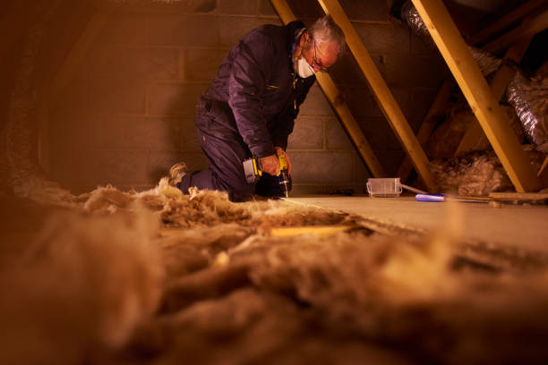 Best Insulation Maintenance and Repair in Salina, UT